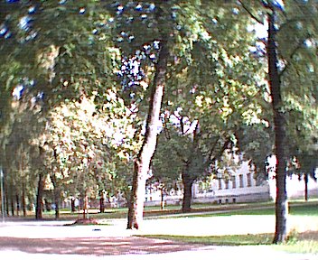 The University surrounds a park