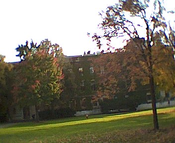 Cornell - an Ivy League University