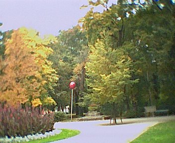 These things are all over Erlangen - I've no idea why