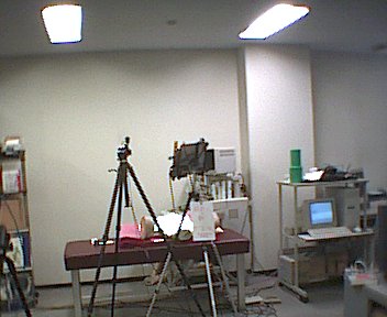 Remote Ultrasound probe positioning